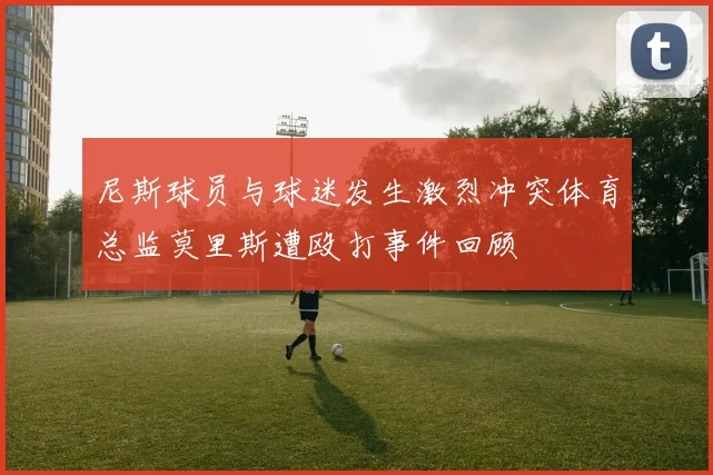 尼斯球员与球迷发生激烈冲突体育总监莫里斯遭殴打事件回顾