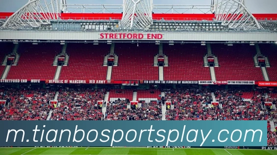 App Interface Preview